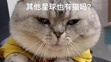每日烦恼，今晚吃什么