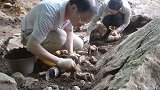 广西娅怀洞遗址现人类化石 这些“宝物”来自16000年前