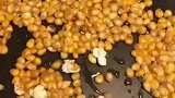 砰砰砰就是蹦，看完你也可以找找小时候的回忆了