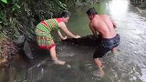 越南小伙抓鱼，这速度也太快了，网友：这应该是条智障鱼！