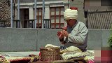 吹笛子玩蛇，蛇太激动竟飞起来！路人都吓傻了