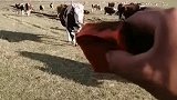 秒，还是太少！