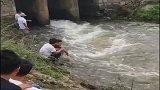 小河沟发大水，里面全是鱼，场面太壮观了
