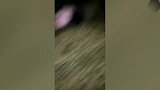 黑发运动装小女孩，爬进塑身球笼子里摔倒，蠢萌蠢萌的！