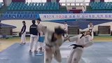 似乎有点个人恩怨，但也不至于这么明显吧