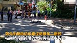 【广东】7米长树枝高空折断坠落 深圳闹市一骑车男子头部被砸伤