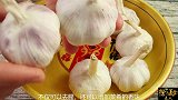 保存大蒜，直接放地上就错了！简单2步，不干不坏，半年都新鲜