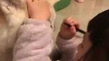 女儿拿妈妈的眼线笔，给狗子化了一个美美的妆，太有创意了！