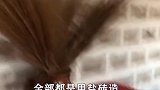 世界最奇葩的酒店，住一晚750元，唯独禁止舔墙