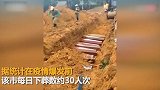 巴西用挖掘机挖大型墓地掩埋：每日安葬近100人次