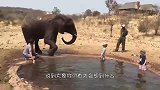 大象卷住女子的头就往嘴里塞，游客却看得哈哈大笑，太刺激了