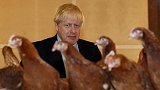 太喜感！英国首相探访威尔士农场 抱起母鸡时对其说话：小鸡小鸡