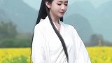 百花深处好世人皆不晓