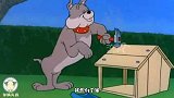 四川方言版猫和老鼠：可怜的莽哥，它只想拥有一个属于自己的狗窝