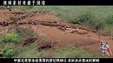 上甘岭战役中，美国为何失败？英国专家用一张照片说明原因