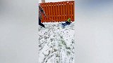 宝爸带宝宝雪地上逗狗狗，把宝宝惹的大笑，太有爱了！