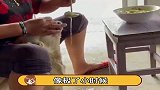 狗狗被掰开嘴用大汤勺喂饭，有一种饿叫奶奶