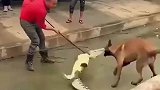 一顿操作猛如虎，最后连助攻都没混上