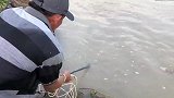 撒网捕鱼：一网下去，结果捕获一条70多斤的大怪鱼，能吃几天了