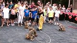 猴子会感恩。