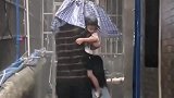 爷爷这爱有点粗糙，这伞打了个寂寞