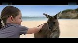 旅游-澳大利亚尽是不同最新宣传片 90秒