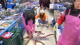 妹子海鲜市场买了一只巨型大章鱼，老板现场处理，大触手拿起就吃