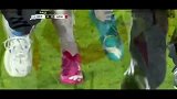 世界杯-14年-热身赛-罗伊斯拼抢受伤断腿无缘世界杯-新闻