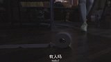 女子被上司欺负，乖狗狗帮主人出气，直接将对方咬死