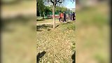 网曝打裁判家长已被警方带走 给警察蜀黍速度点赞！