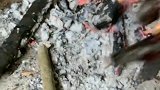 西双版纳的特色小吃“辣椒与酸芒”，看完流了一地的口水