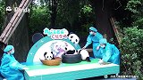 新“三巨头”初亮相