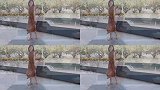 看看今年夏天时尚达人爱穿什么？穿上这个颜色的裙子，皮肤白2度