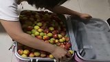 室友妈妈邮寄的土特产，打开行李箱一看，果然是亲妈！