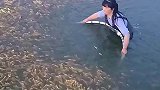 大娘捕鱼神操作，这太让人羡慕了