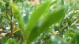 “李荣浩”和我，在下雨天共享美味零食！