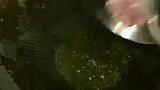 这样的豆腐做法你学会了吗？