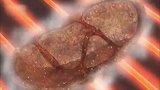 美食猎人：阿虏请小松吃饭，非常高的楼层！
