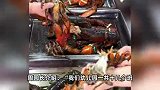 1天20元能吃龙虾、鲍鱼、海参！河南一幼儿园餐食走红