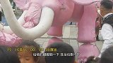 小飞象随仔仔小丑军团首次亮相成都