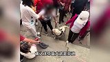 盲人夫妻带导盲犬雨夜爬山,犬身湿透引路还被打引众怒,残联回应