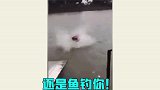 钓鱼还能这样搞？你们这操作，总是能玩出点新花样