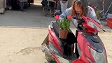 婆婆看见花就头疼
