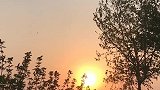 我与轻风皆过客，你携江水染夕阳。