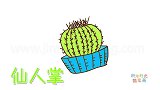 植物简笔画大全，画仙人球简笔画