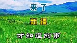 来了新疆才知道的事