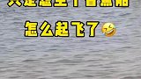 小姐姐一个人玩香蕉船，没想到体重太轻竟然飞了起来
