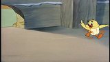 猫和老鼠：汤姆要吃了小鸭子，小鸭子慌不择路跑到了杰瑞的床上！