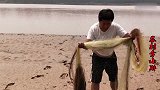 黄河浅滩大鱼乱蹦，大爷带小胖撵梭鱼，悄悄走去一网命中，真不小