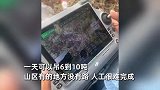 女子在大山里做“女飞手”，1天能吊运10吨木头